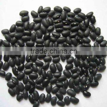2014 Black Kidney Beans, Black Kidney Beans in Bulk photo-3