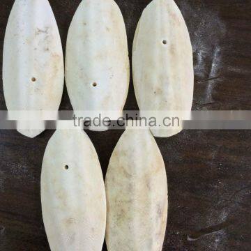 Hai Piao Xiao Dry Cuttlefish Bone for Sales photo-5