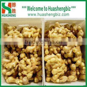 Chinese wholesale fresh mature ginger