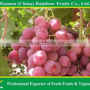 Grape Varieties