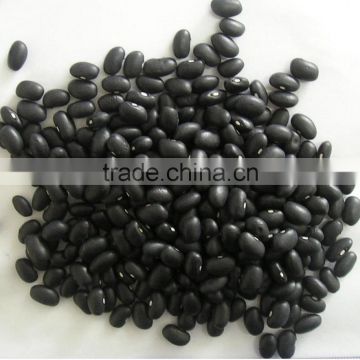 China small black bean