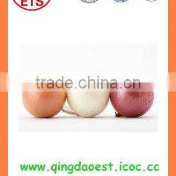 Chinese export bulk Best quality products fresh red and yellow onion