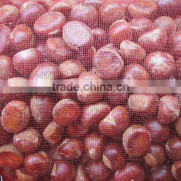 2013 chestnut 5kg mesh bag package