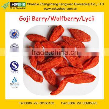 New Harvest Top Quality Bacche Di Goji