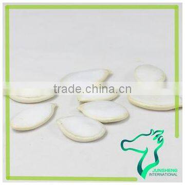 Snow White Pumpkin Seeds United States Supplier