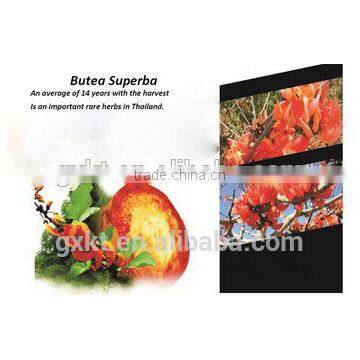Pure Butea Superba Extract Capsules Enlargement Booster Increases Energy photo-4
