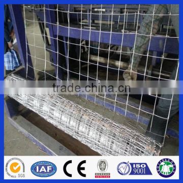 High quality hot dip galvanized fixed knot cattle fence (Deming factory, ISO900 certificate)