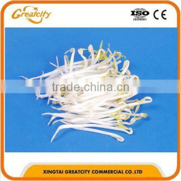 Electric Bean Sprout Making Machine Bean Sprout Cleaning Machine photo-3