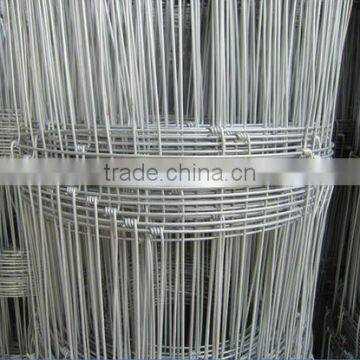 Wire mesh fence for cattle,horse, sheep,poutry and other animal and poutry(Mesh fence-C)