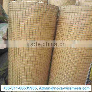 Chicken Coop Welded Mesh / Welded Wire Mesh Mew Product / Welded Wire Mesh for Birds Cage
