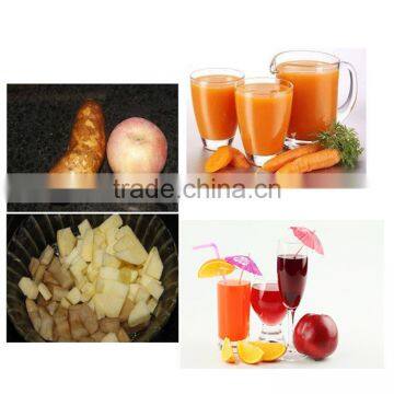 Neweek Store Use Stainless Steel Continuous Screw Vegetable Juice Presser