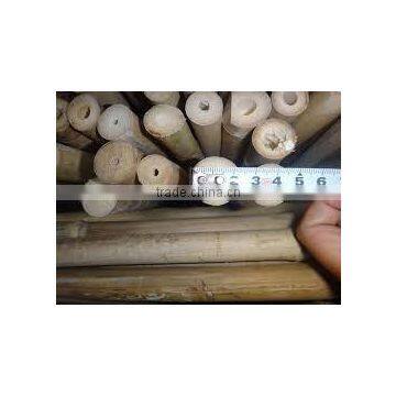 WY-213 2016 Hot Sale Natural Dry Strong Whole Part Moso Bamboo Poles for Agriculture and Construction photo-4
