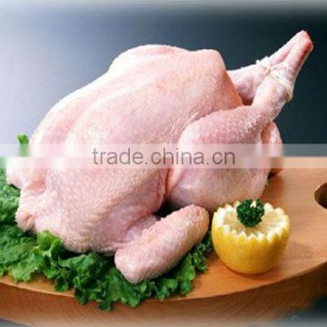 China automatic Brine Injector for processing Turkey