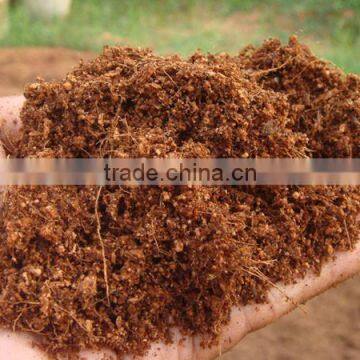 4 Ton/hour Industrial Coco Peat Rotary Drum Dryer/Cire Fibre Drying Equipment for Coconut Shell Machine photo-6