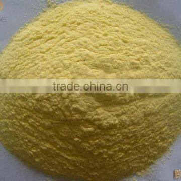 Top Grade Best Quality Nutritional Baby Food Extrusion Machine photo-3