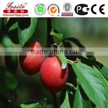 PE Pipe Material and Drain Pipe,Drip Irrigation photo-3