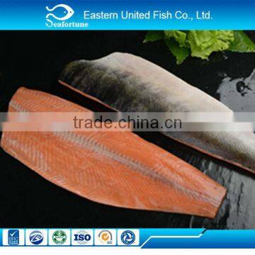 hot sale frozen chum salmon fillet fish