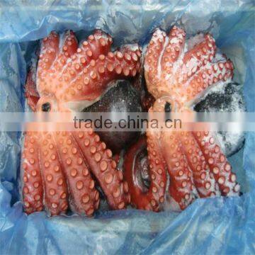 quality seafood cleaned frozen baby octopus whole