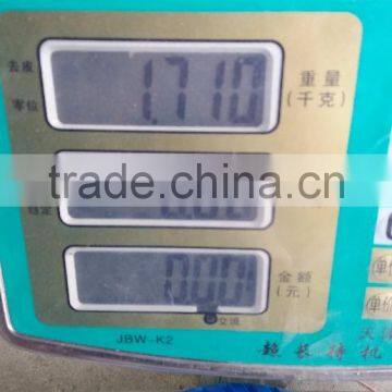 PU 325-8 PU FOAM WHEEL NEW MODEL 325-8 photo-4