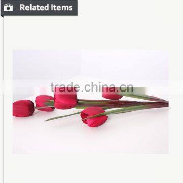 Hot Selling Tulip for Home Decoration Pieces and Valentine's Day Gift Flower photo-5