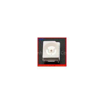 Energy saving 3528 SMD LED , Epistar chip Colorful SMD LEDmodule