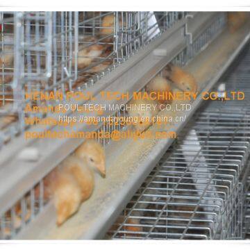 Colombia Chicken Shed A Type Battery Small Chicken Cage & Pullet Cage with 10000 Chicks with Automatic Drinking System for Poultry Farming