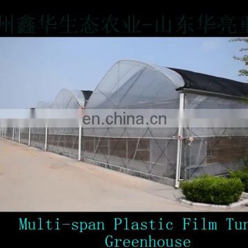 Hot sale Multi-span commercial Tunnel Poly Film Greenhouses for tomato planting