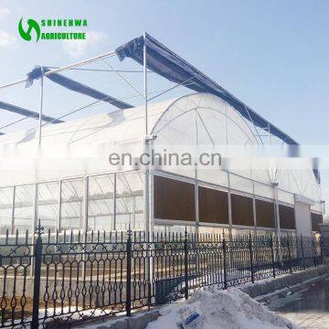 Agriculture Low Price commercial film cover greenhouse,plastic film greenhouse