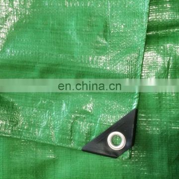 Best supplier in china pe tarpaulin