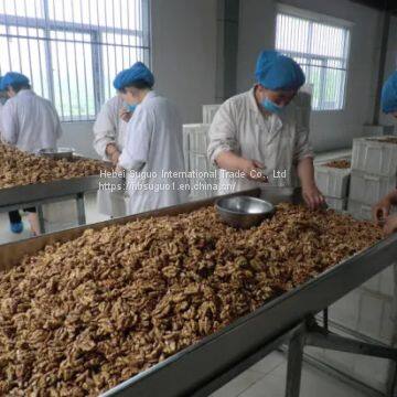 China Aaaa Cheap Quality Walnut Kernel photo-3