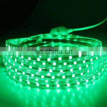 Accessories For Sing Color Led Strip Neon Light 110V 220V 8A 2 Pin ac Power Cord Plug Connect Pin End Caps PVC Clips photo-6