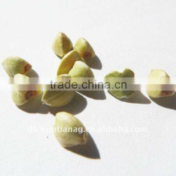 buckwheat kernels