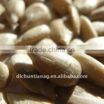 Organic chinese sunflower seed kernels