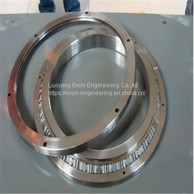 EU Standard high rigidity stiffness flanged slewing ring bearing with High Precision