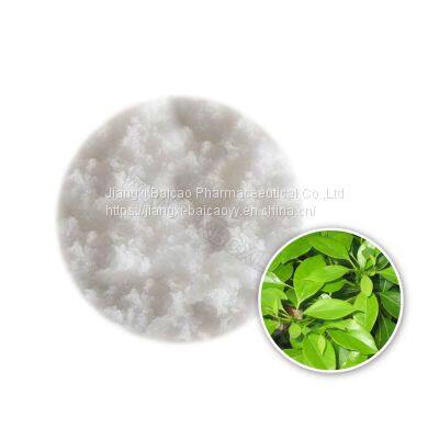 Wholesale CAS No. 76-22-2 Camphor Powder Synthetic Powder photo-3