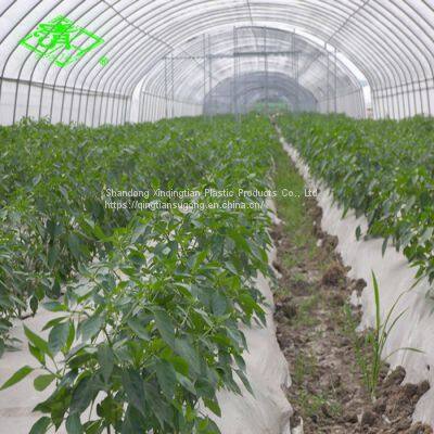UV Protection Mist-resistant 3-5 Layers Heat Keeping Daylight Greenhouse Film photo-3