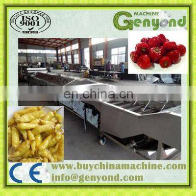 Stainless Steel Pickled Vegetable Production Line/making Machine/equipment photo-4