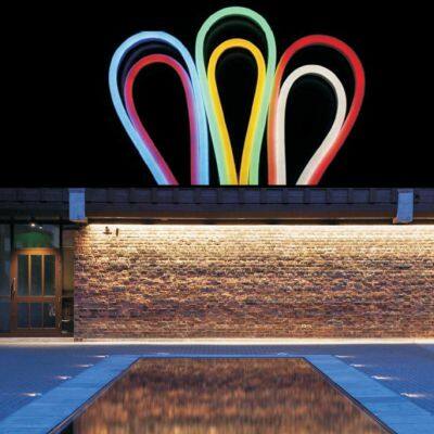 Neon Flex LED Strips 12X20mm photo-2