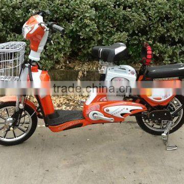 Mini City Electric Bike