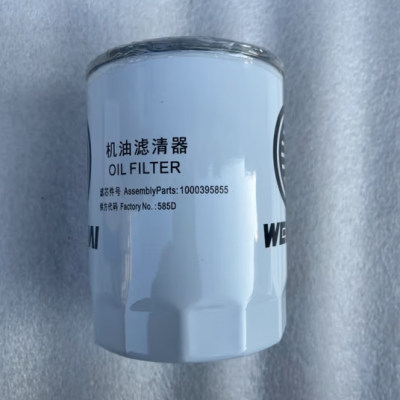 Hot Selling High Quality Fuel Filters 1000395855 Oil Filter for Wei Chai Top Construction Machinery Parts photo-2