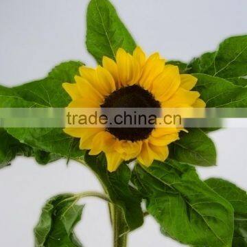 Super quality latest sunflower centerpieces for wedding