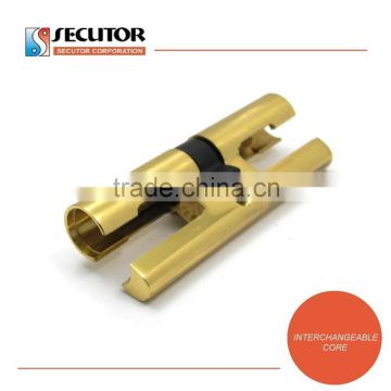 Removable Euro Cylinder Lock