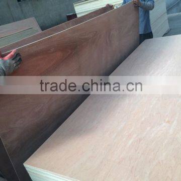 Commercial Plywood photo-5