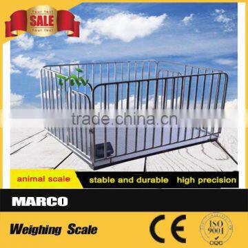 Poultry farm design electronic livestock weighing scales
