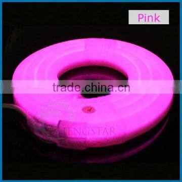 5M 300LEDs 24V 12V LED Neon Flex Digital Programmable RGB Mini Led Neon Flex photo-6