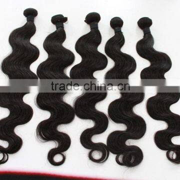 100% Virgin Human Hair SGIHAIR