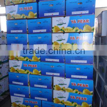 Fresh Pears/New Fresh ya Pear/Fresh ya Pear photo-2