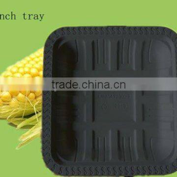 6 Inch Biodegradable Disposable Food Trays Quality Choice