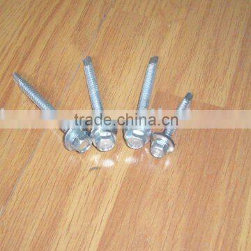 Self Tapping Screw