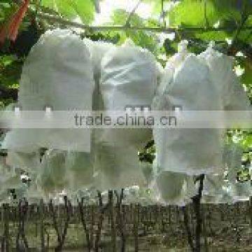 cheap agriculture non woven suppli